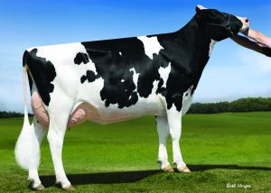 SUPERSIRE